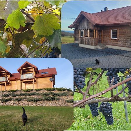 Gruszow  Fantastic View Vineyard Beskid Mountains מראה חיצוני תמונה