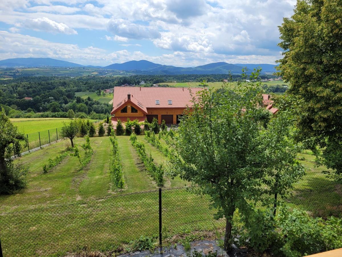 Gruszow  Fantastic View Vineyard Beskid Mountains מראה חיצוני תמונה