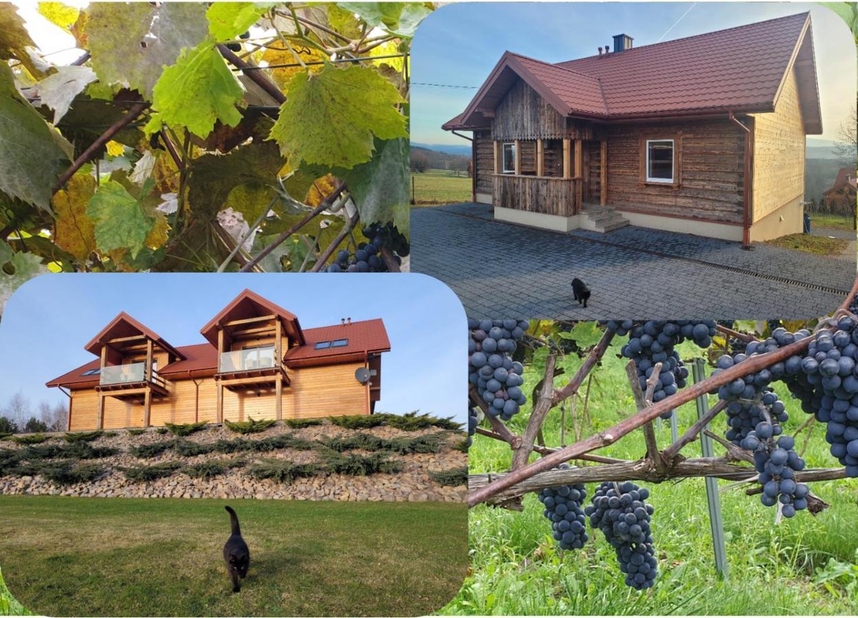 Gruszow  Fantastic View Vineyard Beskid Mountains מראה חיצוני תמונה