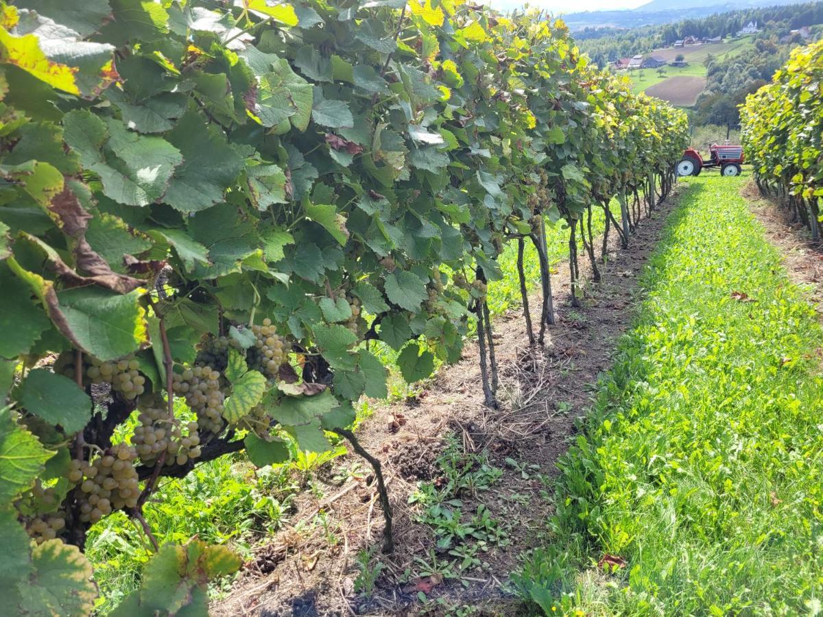 Gruszow  Fantastic View Vineyard Beskid Mountains מראה חיצוני תמונה