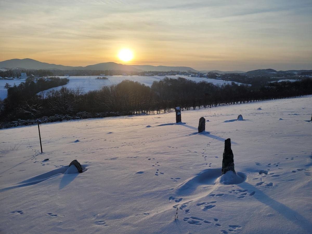 Gruszow  Fantastic View Vineyard Beskid Mountains מראה חיצוני תמונה