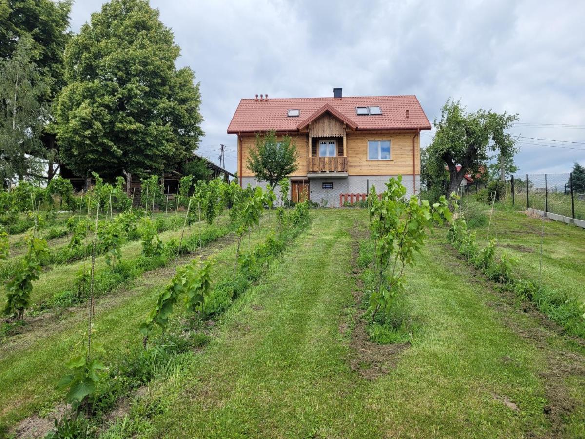 Gruszow  Fantastic View Vineyard Beskid Mountains מראה חיצוני תמונה
