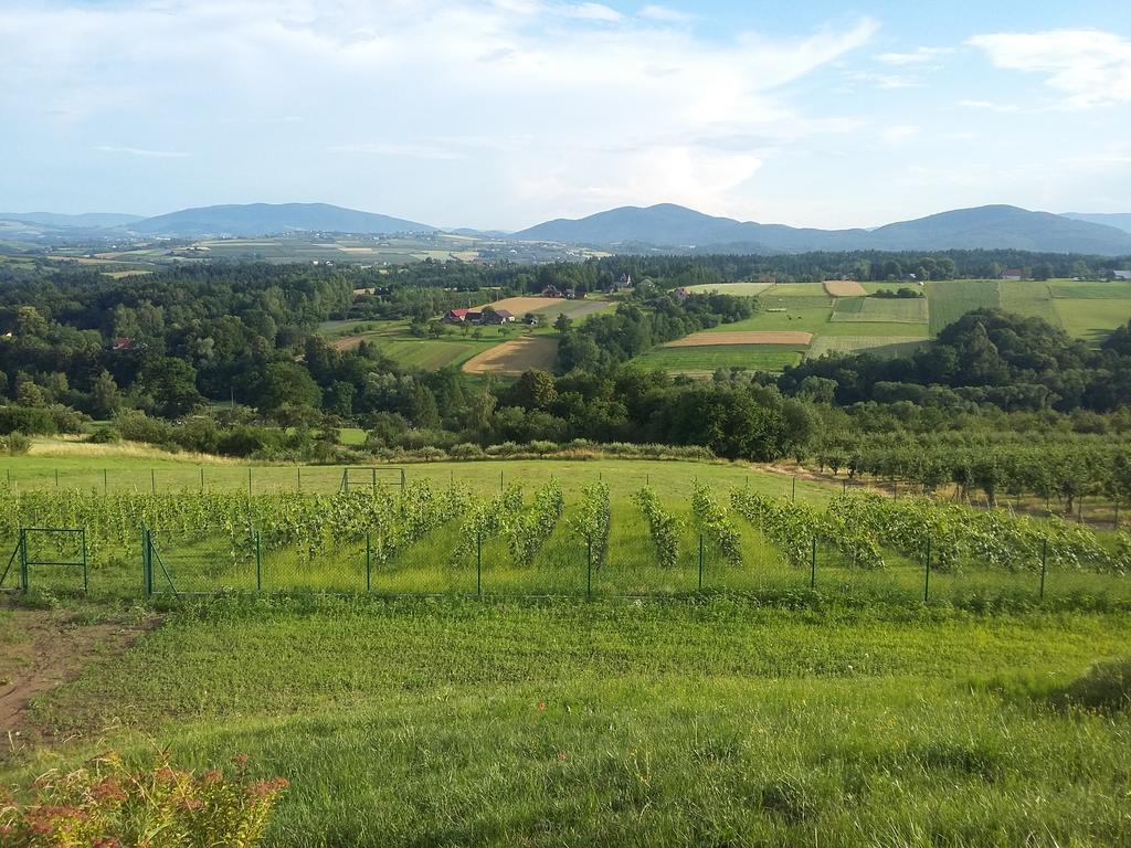 Gruszow  Fantastic View Vineyard Beskid Mountains מראה חיצוני תמונה